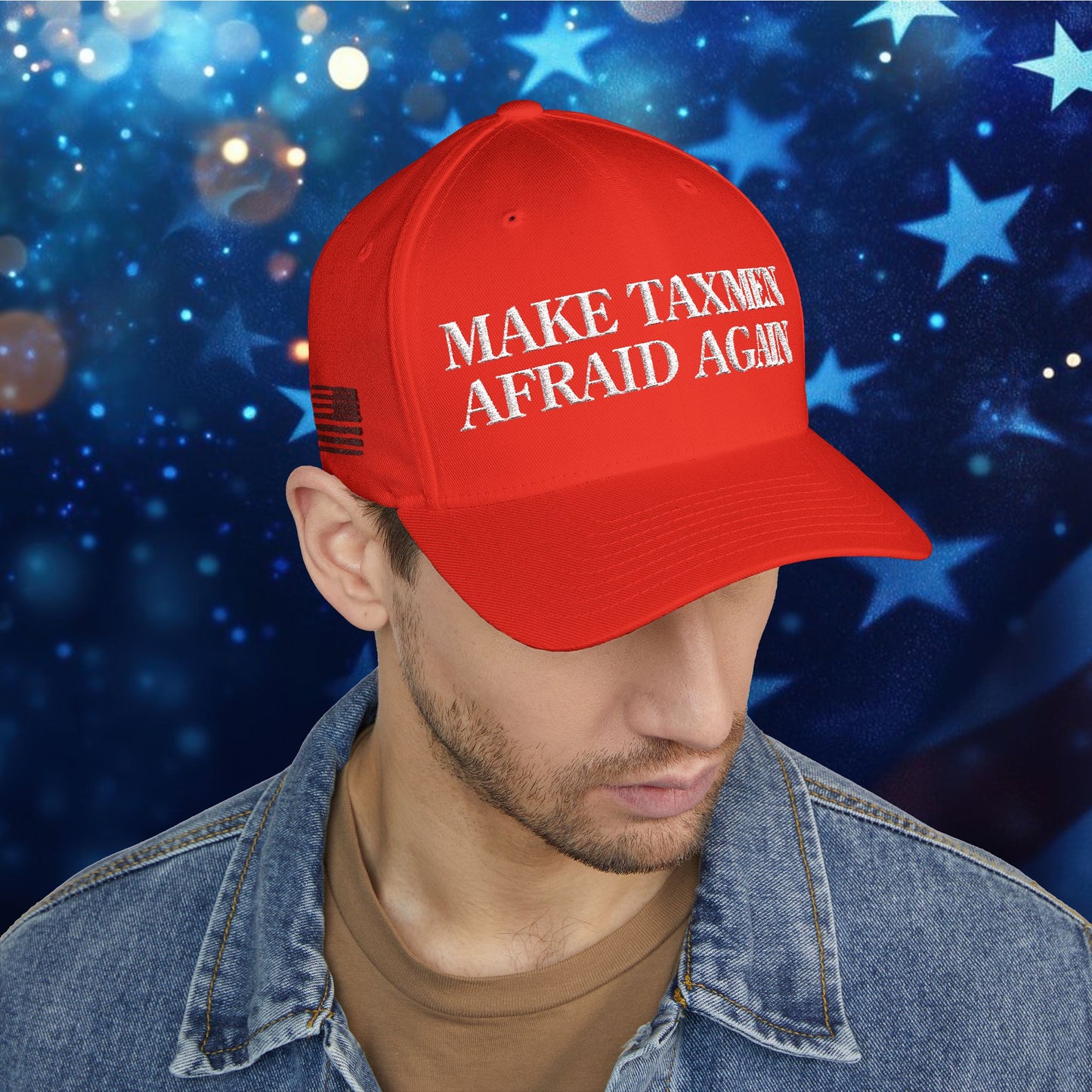 "Make Taxmen Afraid Again" - Bold Embroidered Structured Hat
