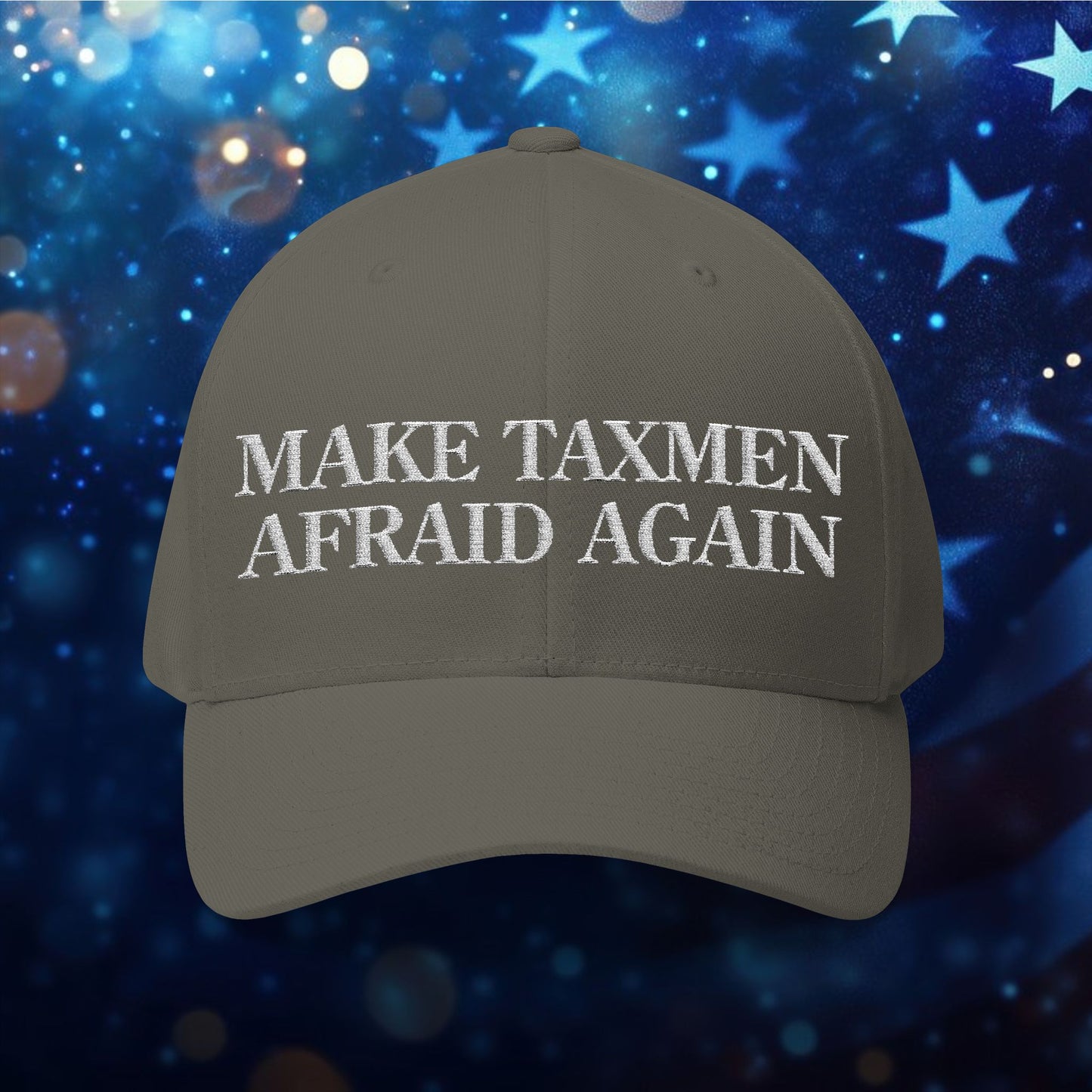 "Make Taxmen Afraid Again" - Bold Embroidered Structured Hat