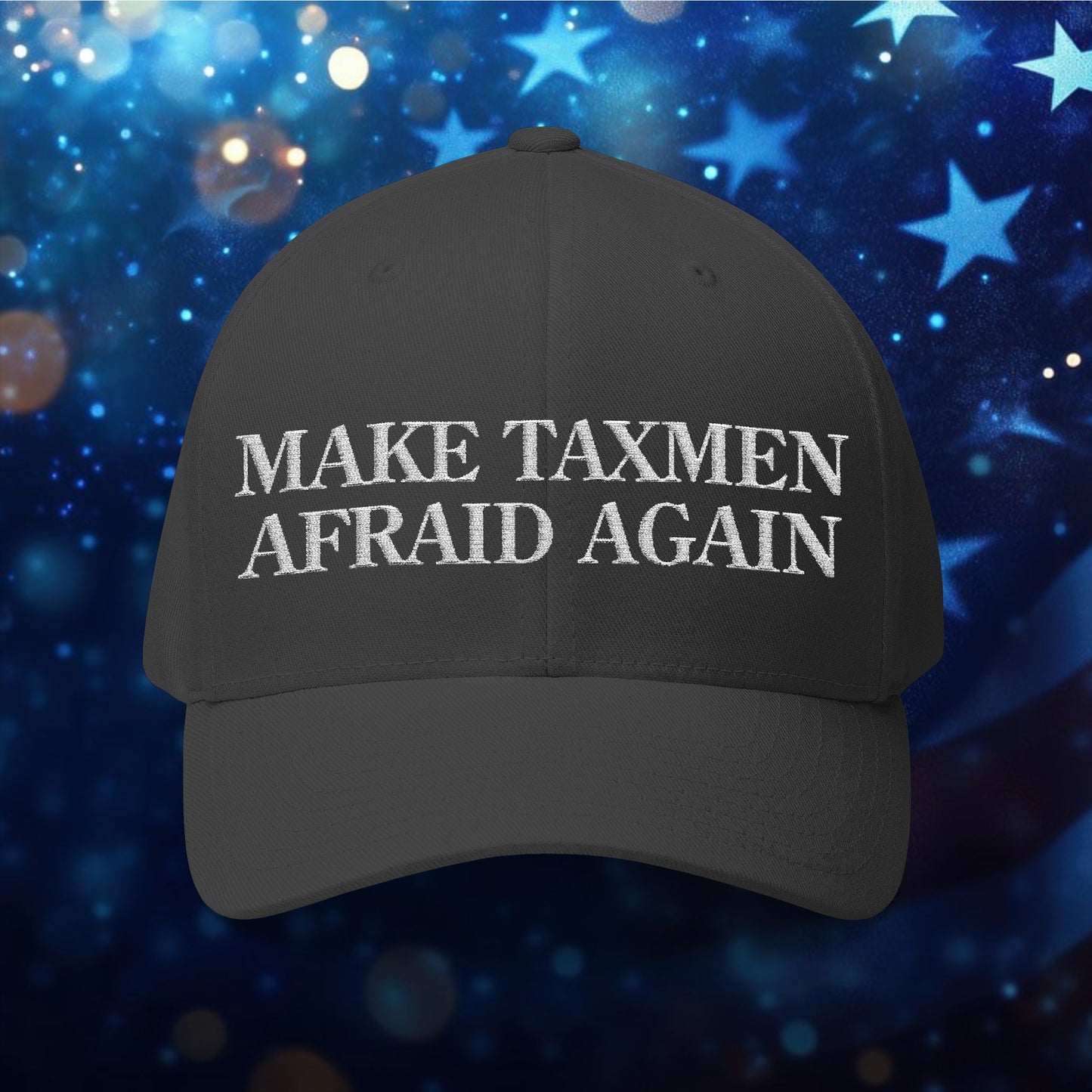 "Make Taxmen Afraid Again" - Bold Embroidered Structured Hat